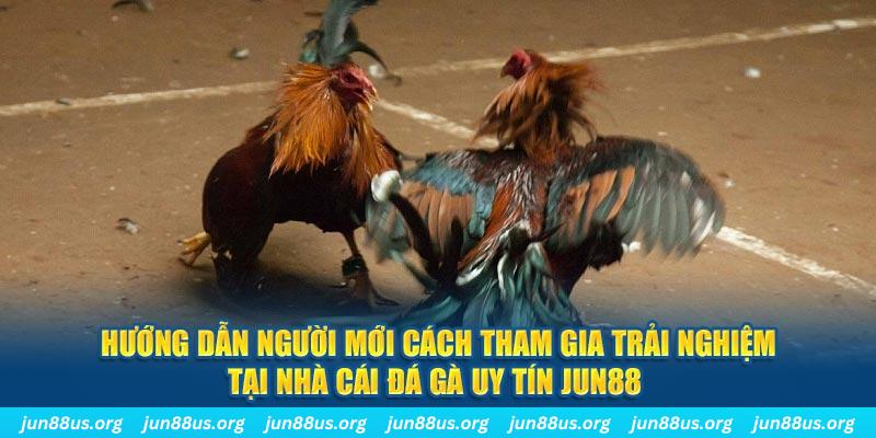 ok3655 loi game dot kich ket noi may chu that bai