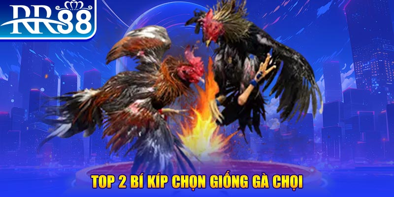 ok3655 máy thu cước bắn cá