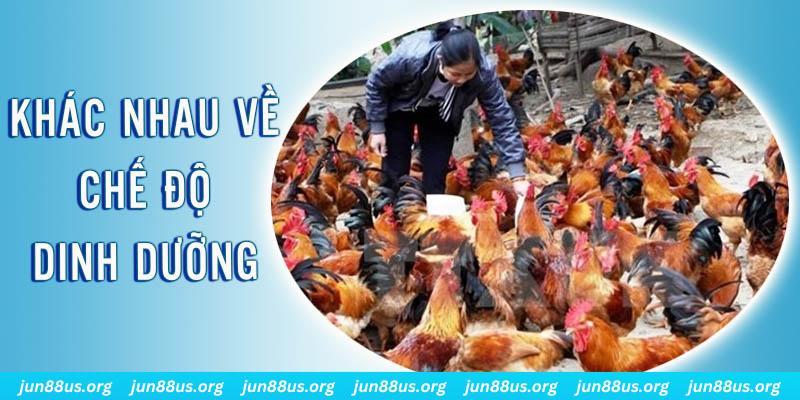 ok3655 xổ số miền nam thứ năm hàng tuần