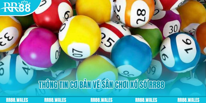 ok3655 đá gà hôm nay