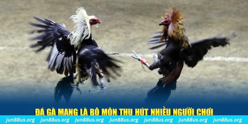ok3655 tại sao tải game bài sunwin không được