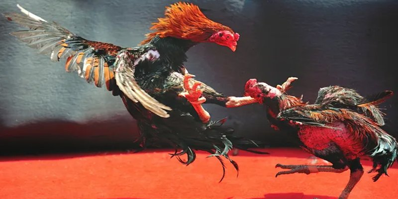 ok3655 bắn cá h5 chơi ngay