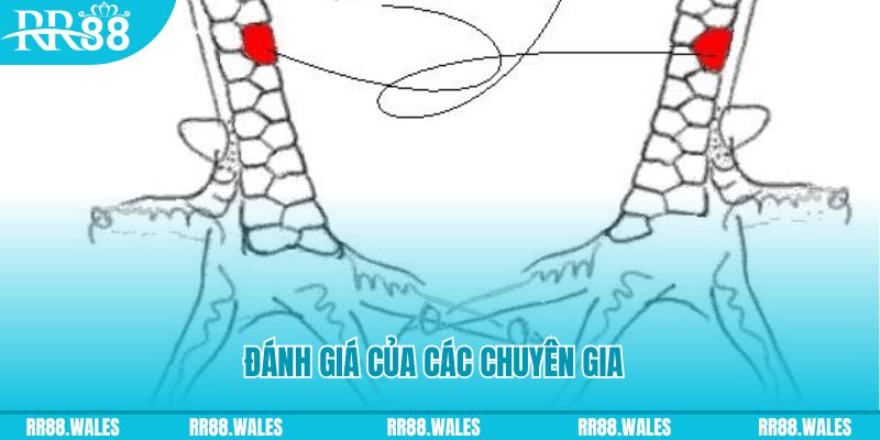 ok3655 V8 Game Bài 3d