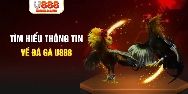 ok3655 đăng nhập tiến lên miền nam hàng đầu