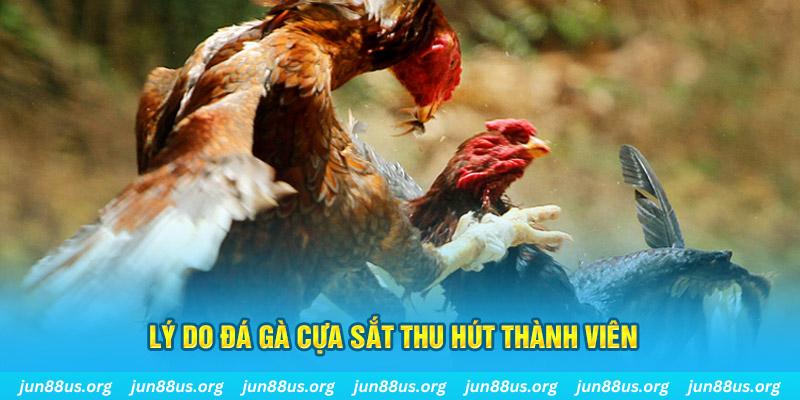 ok3655 chiếm slot là gì