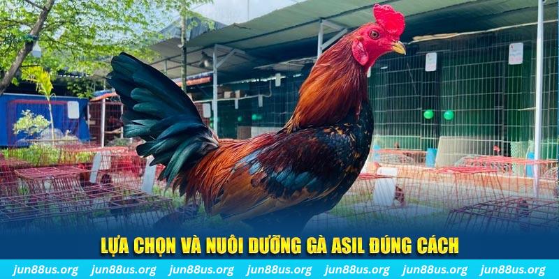 ok3655 xổ số đài bắc