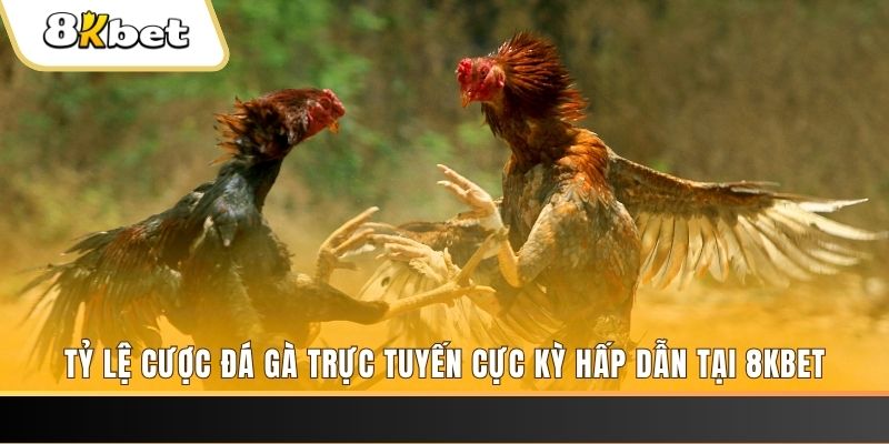 ok3655 baccarat online bịp như thế nào