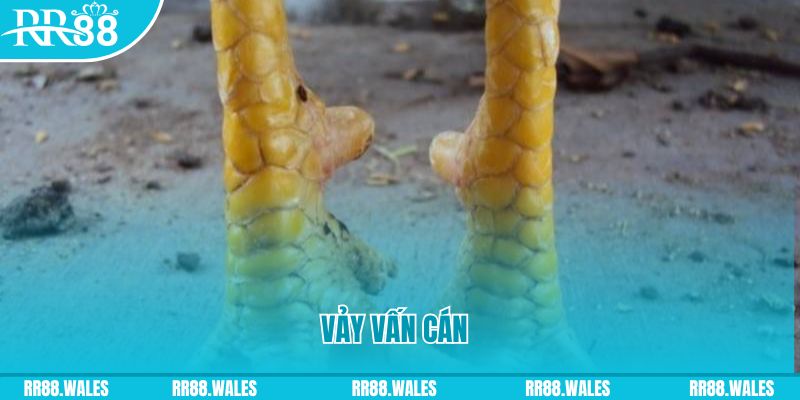 ok3655 đăng nhập nổ hũ hôm nay