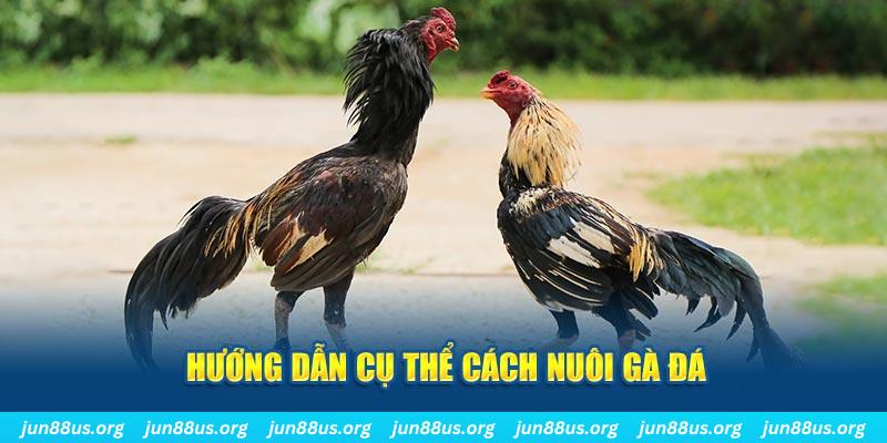 ok3655 đăng nhập sòng bạc số 1